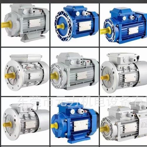 瑞踊铝壳蜗轮减速电机NEOM63-60-0.37KW可选配ABB铝合金电机马达