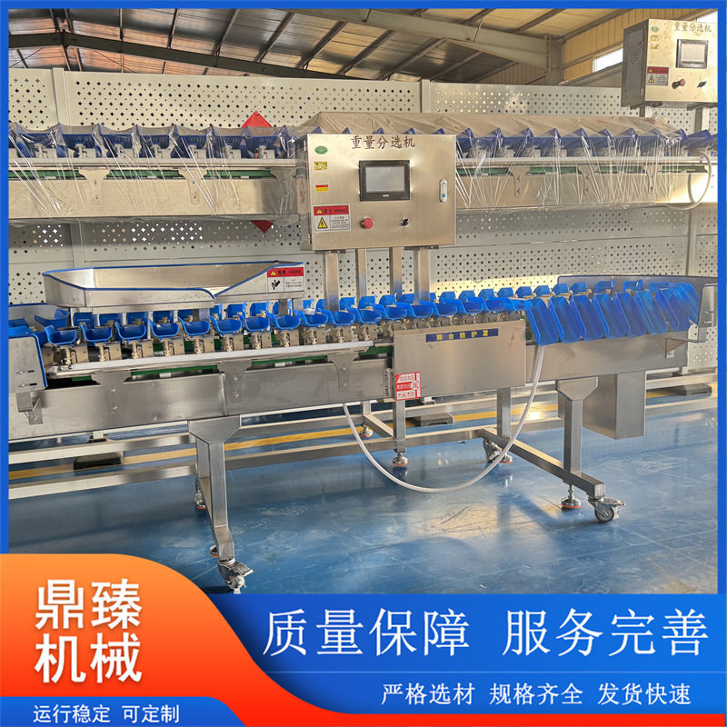 料盒式自动称重量分选机海参鸡爪鱼类分选机火龙果生蚝重量分拣机