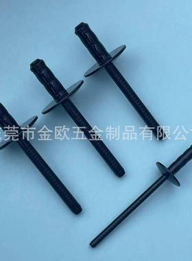 工厂现货大帽沿双铆钉鼓抽铆钉3芯04787全不锈钢大头双股锈不钢拉