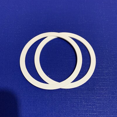 ERSA埃莎氮气环石墨密封圈料号250108和146054