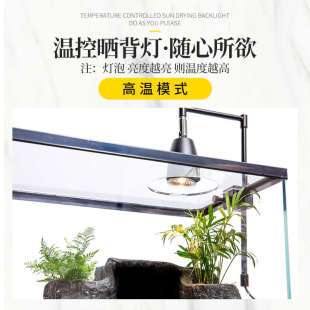 带盖乌龟缸大型家用超白玻璃底部排水防逃逸养龟专用生态玻璃鱼缸