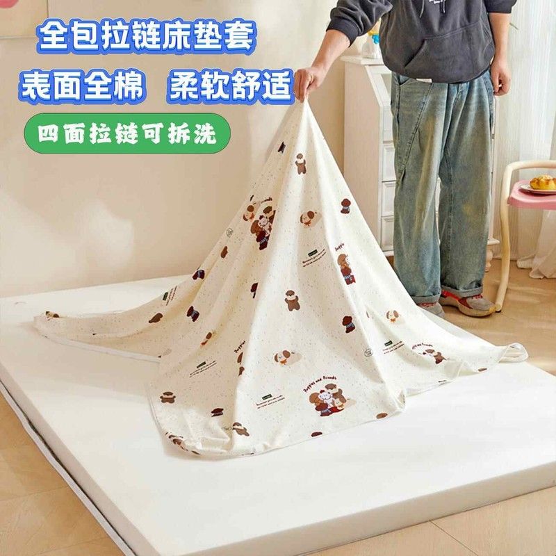 床垫套全包拉链床垫专用保护套搬家罩全包保护膜乳胶垫防尘罩六面图片