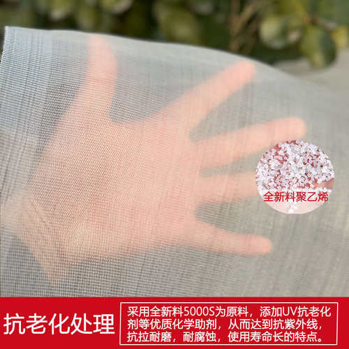 大棚防虫网养殖场专用抗老化防虫网猪圈院子大棚尼龙纱网8目10目