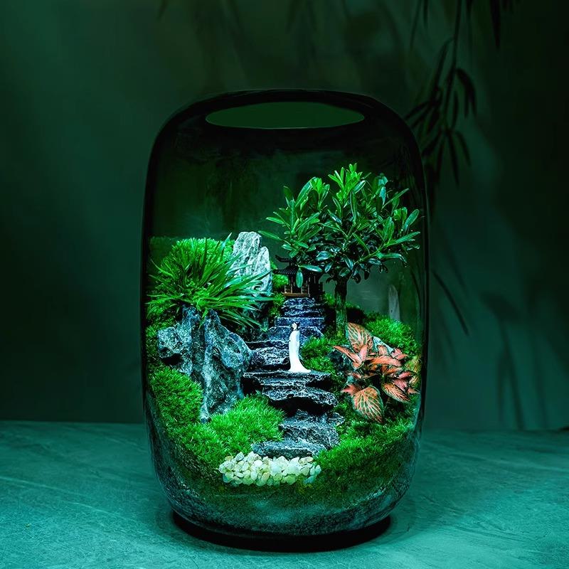 苔藓微景观生态瓶造景植物桌面创意小摆件悟空森林绿植雨林生态缸