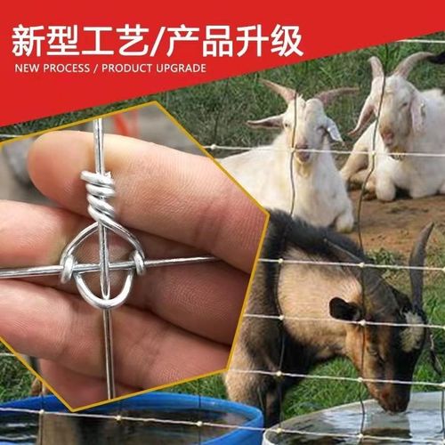 热镀锌防锈牛栏网果园围栏网养牛马羊围栏网护栏网户外养殖钢丝网
