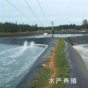 新品防水布黑色塑料膜抗老化加厚鱼塘G防渗膜鱼塘T膜土工膜鱼池定