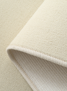 白色奶油风地毯素色侘寂风客厅茶几毯网红拍照高级感床边地垫整铺