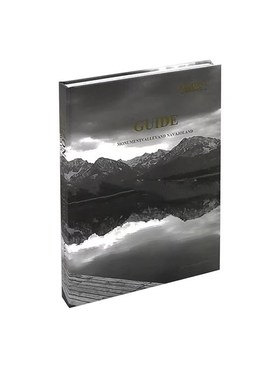 现代样板间客厅茶几装饰品售楼中心大堂桌面苔藓花器马毛托盘摆件