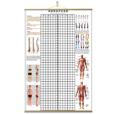体态评估表挂式贴式体测健身房瑜伽馆私教身高臂展网格身体对比图