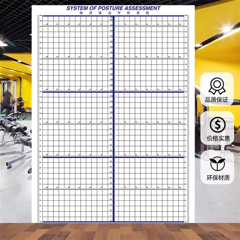 体态评估表挂式贴式体测健身房瑜伽馆私教身高臂展网格身体对比图