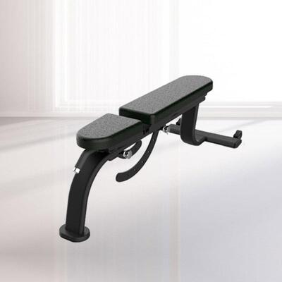 舒华SH-G6855可调节哑铃凳商用杠铃举重卧推飞鸟训练椅健身器材