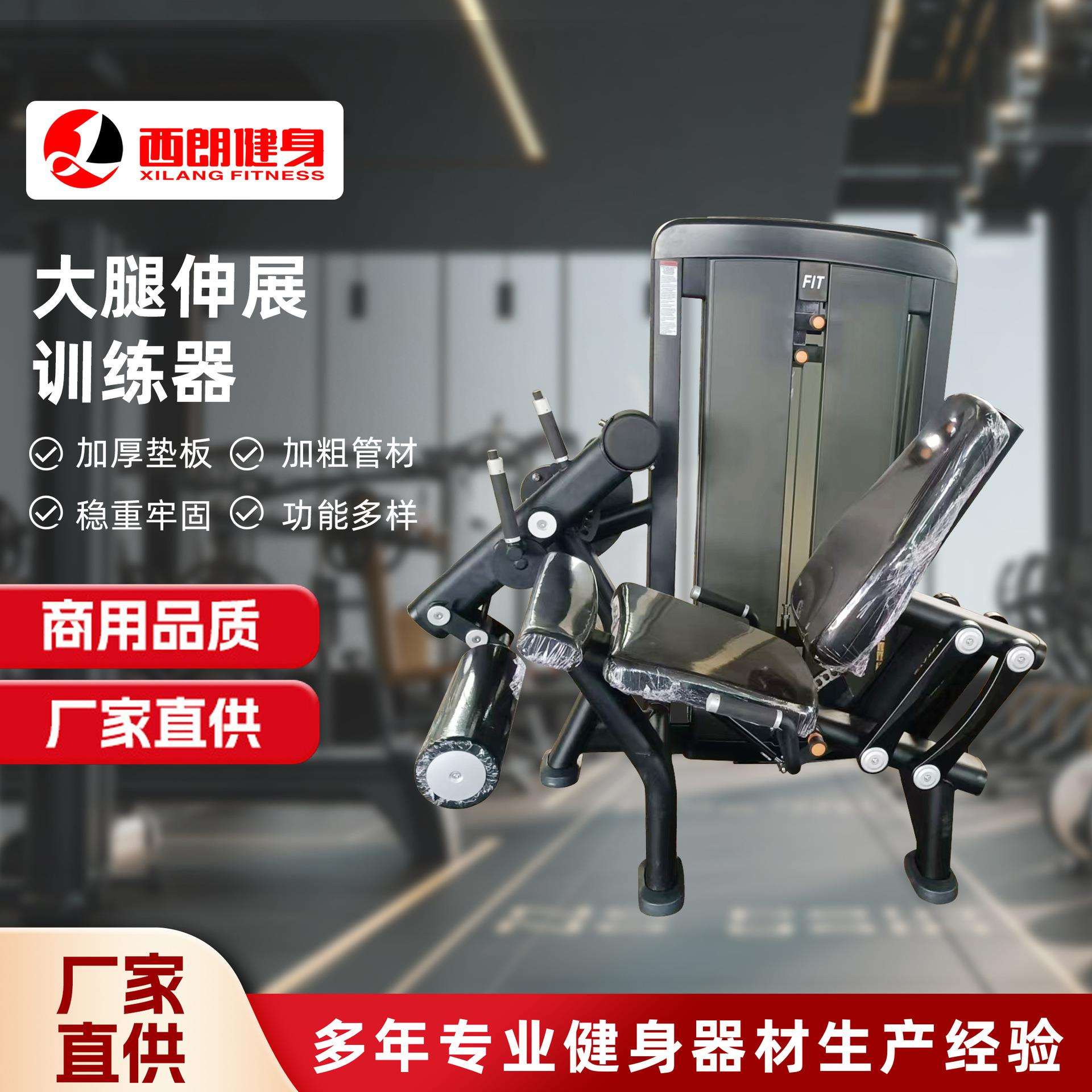 大腿伸展训练器综合训练器械健身器材单位健身房XG-F-100