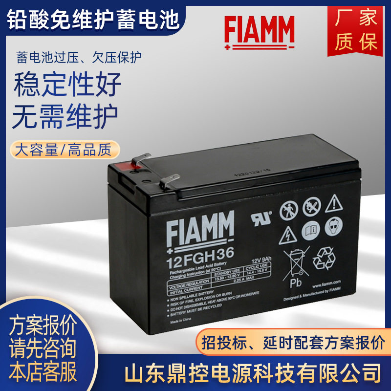 FIAMM非凡FGC21202铅酸免维护蓄电池12V12AH监控门禁地磅电池更换