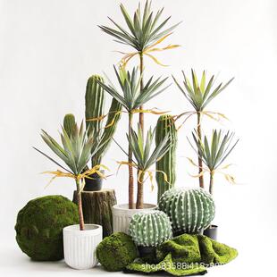 仿真凤尾丝兰树植物热带沙漠假绿植大型落地盆景橱窗室内装饰摆件
