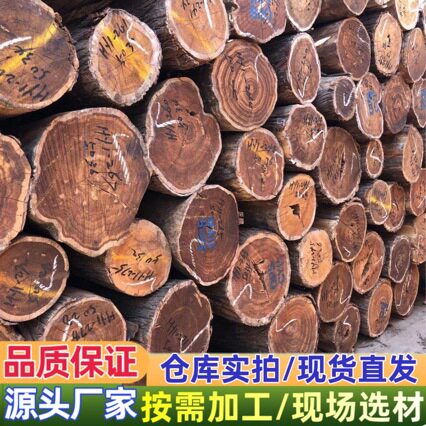 香柏油柏原木大中小径棺木料