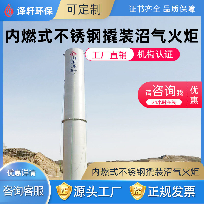 山东泽轩撬装不锈钢沼气火炬
