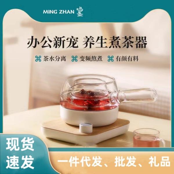 鸣盏煮茶器072T多功能迷你养生壶办公室煮茶炉家用黑茶白茶煮茶壶