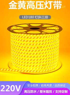 灯带led灯条超亮金黄色光暖光户外工程亮化景观照明220v