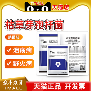 保田派 田枭 枯草芽孢杆白菜菌软腐病柑橘溃疡病角斑病农药杀菌剂