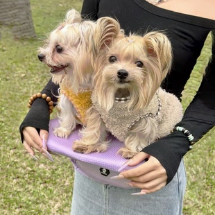 折叠宠物腰凳 官方正品省力坐凳 宠物腰桌猫咪小型犬坐凳防抓出行