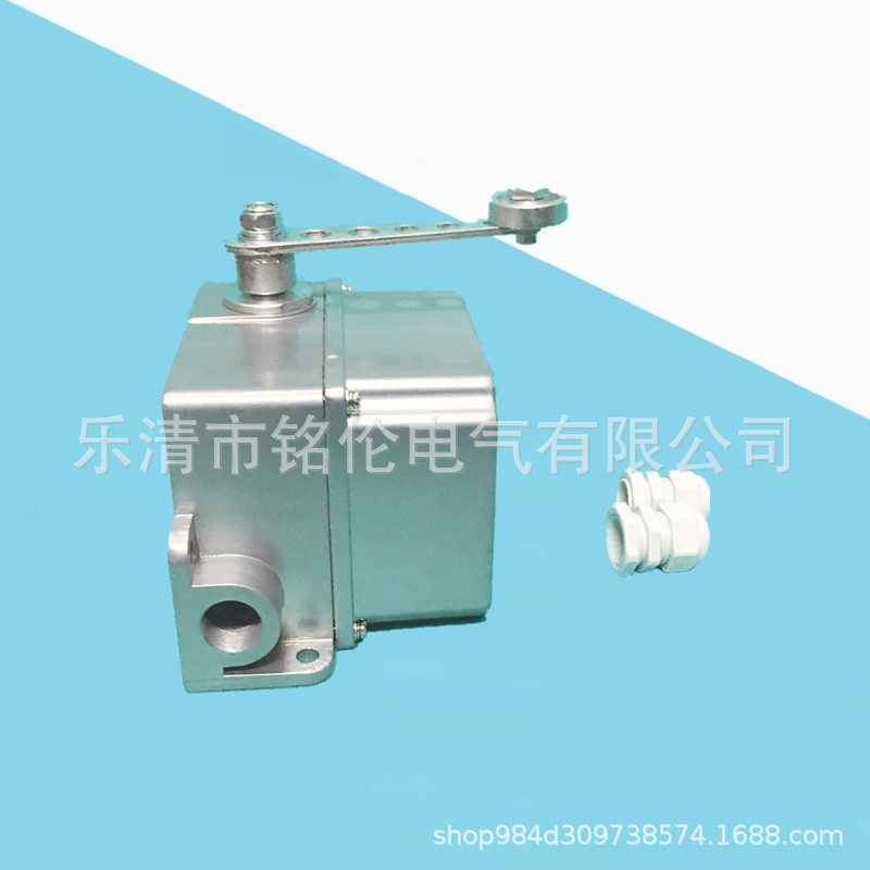 行程限位开关 DF1-A 重负荷限位器 DF1-B 可调转臂滚轮摆杆式
