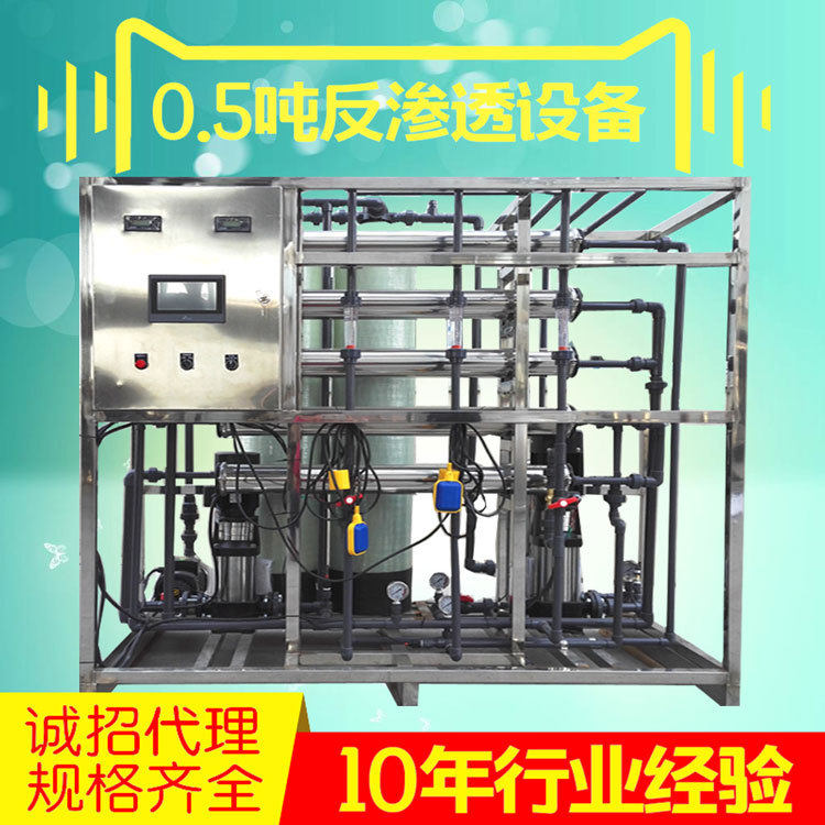 0.5吨二级反渗透设备 软化水处理设备 高纯水设备工业水处理设备