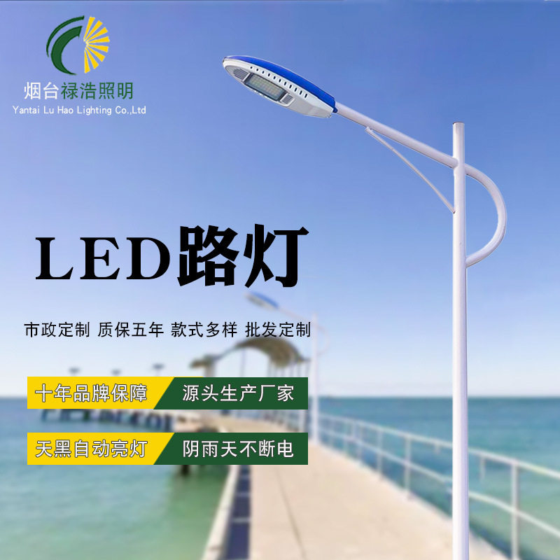 厂家定制生产户外太阳能路灯太阳能景观庭院灯 市政监控杆6米路灯