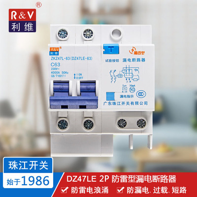 珠江开关(利维牌)DZ47LE 2P 6-63A 塑壳断路器 漏电空气开关