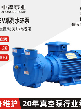 2BV系列水环式真空泵高压抽气泵工业水循环抽气负压吸附泵2BV2070