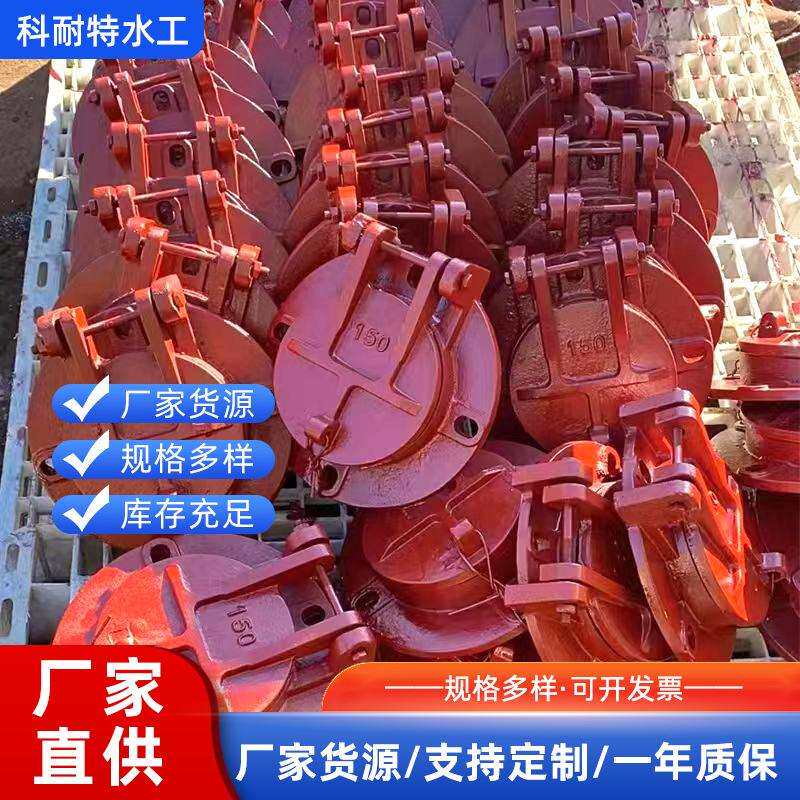 水利设备铸铁镶铜拍门市政管道钢制拍门雨水管道玻璃钢闸门
