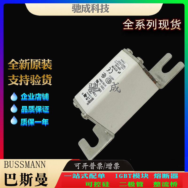 巴斯曼170M1322 170M1358 170M1359 长期批发厂价销售 快熔保险丝