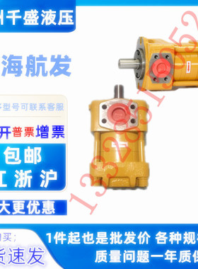 上海航发NT2-G10F G12F G16F NT3-G20F G25F G32F内啮合齿轮泵