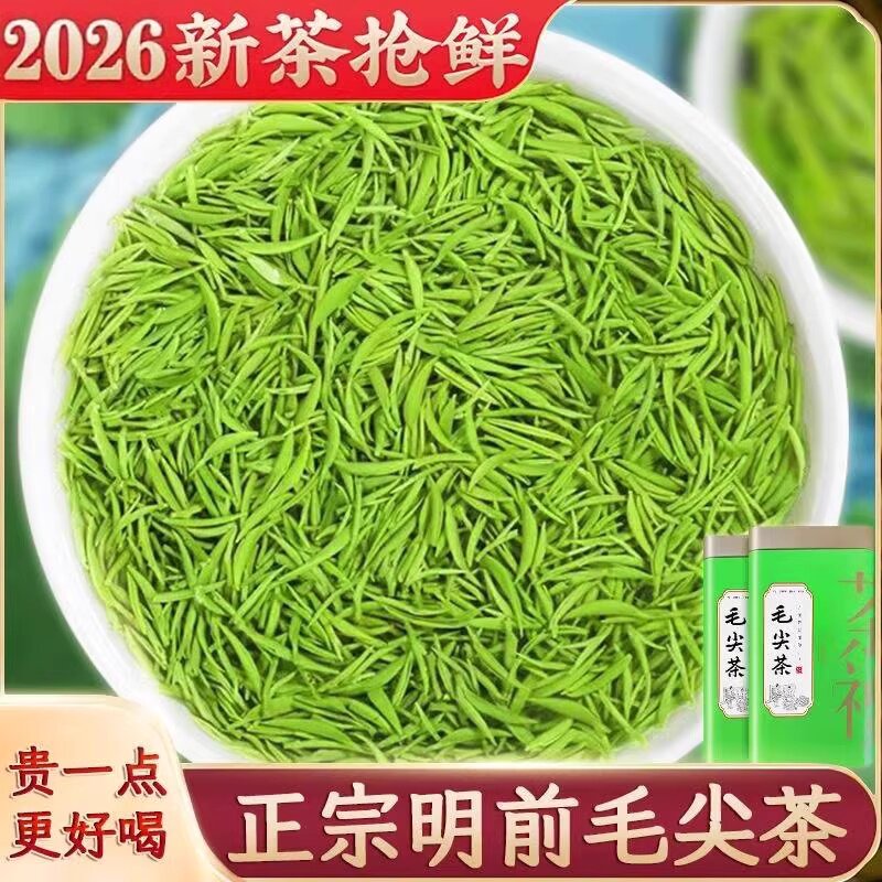 信阳正宗毛尖2026新茶叶明前嫩芽浓香耐泡手工高山绿茶批发价500g