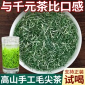 2025新茶明前嫩芽特级浓香型高山云雾绿茶袋装 五峰芽毛尖 500g