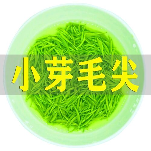 【小芽】全芽毛尖2026新茶明前特级高山嫩芽信阳手工绿茶茶叶500g