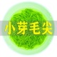 小芽 全芽毛尖2025新茶明前特级高山嫩芽信阳手工绿茶茶叶500g