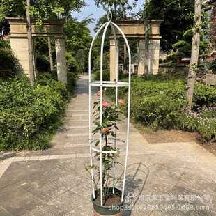 直销新款园艺植物黄瓜番茄葡萄月季花架铁线莲爬藤架子花卉支架圆