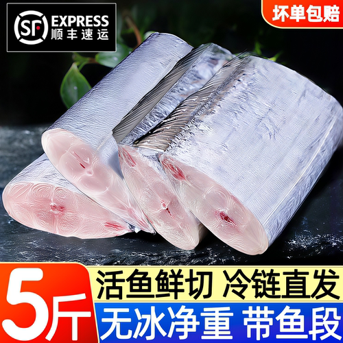 带鱼中段特大冰鲜去头尾商用批发