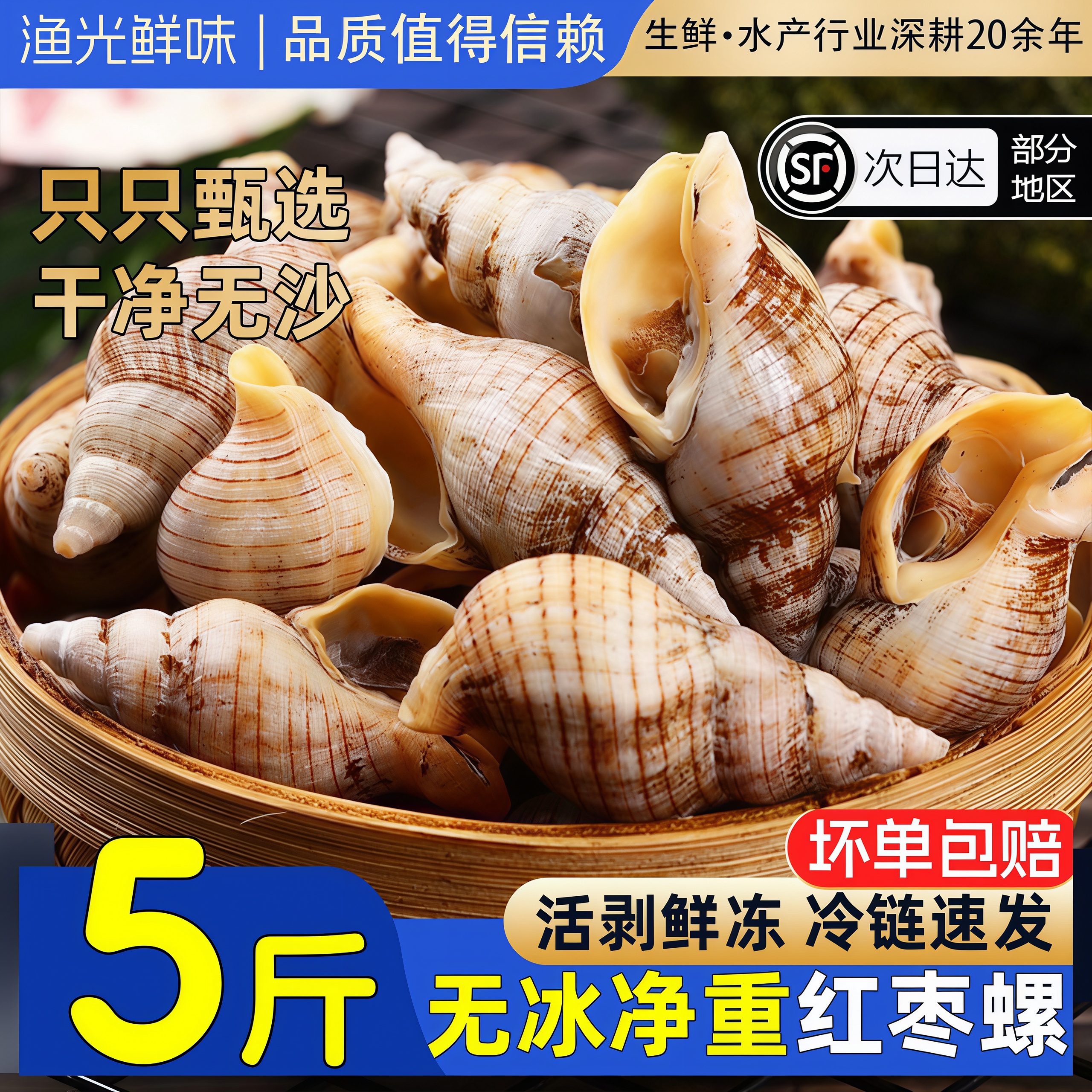 贝贝螺红枣螺白玉螺花螺小海螺丝海瓜子新鲜贝类酒店商用海鲜水产
