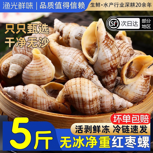 贝贝螺红枣螺白玉螺花螺小海螺丝海瓜子新鲜贝类酒店商用海鲜水产