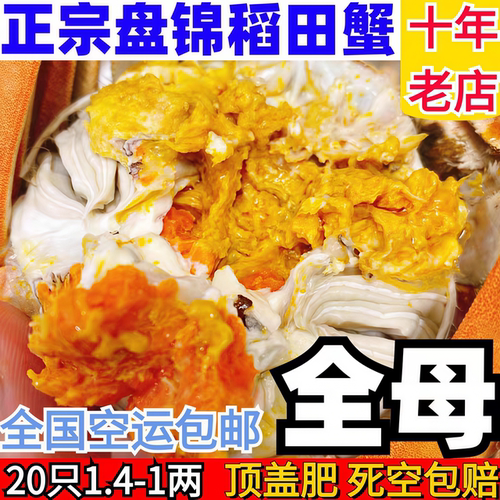 盘锦河蟹鲜活母蟹稻田河蟹3斤全母活蟹螃蟹大闸蟹中秋礼盒顺丰