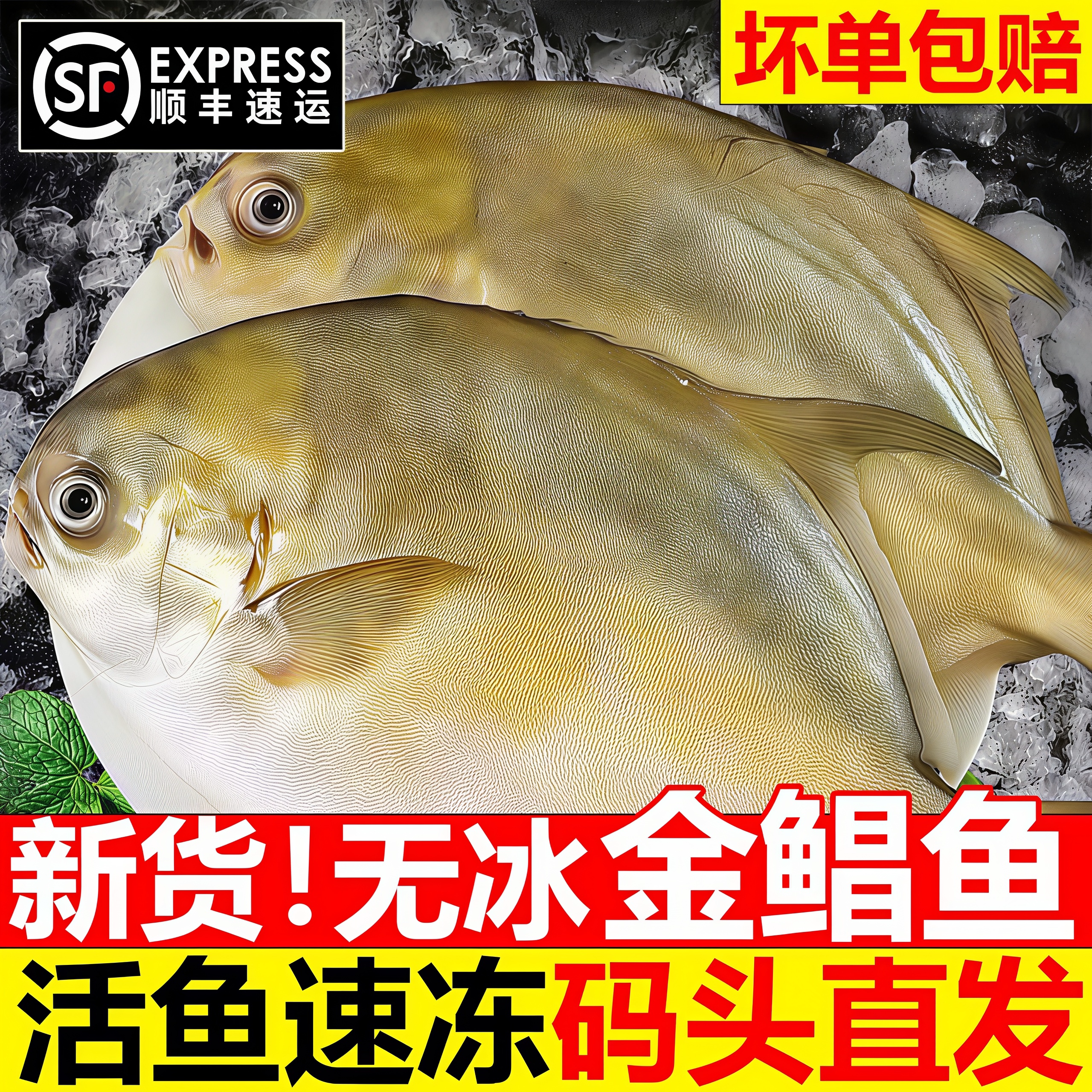 金鲳鱼新鲜冷冻特大平鱼商用顺丰
