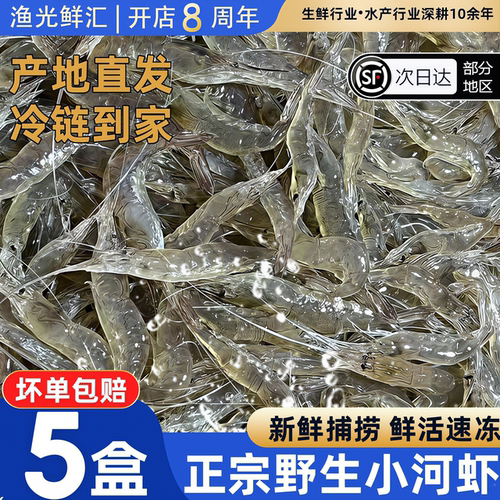 野生鲜活淡水小河虾顺丰包邮