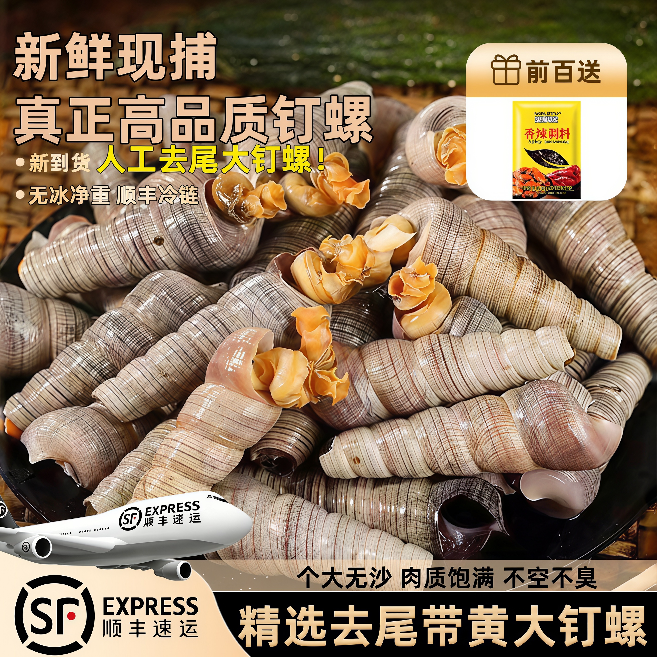 钉螺鲜冻去尾大号钉螺商用顺丰