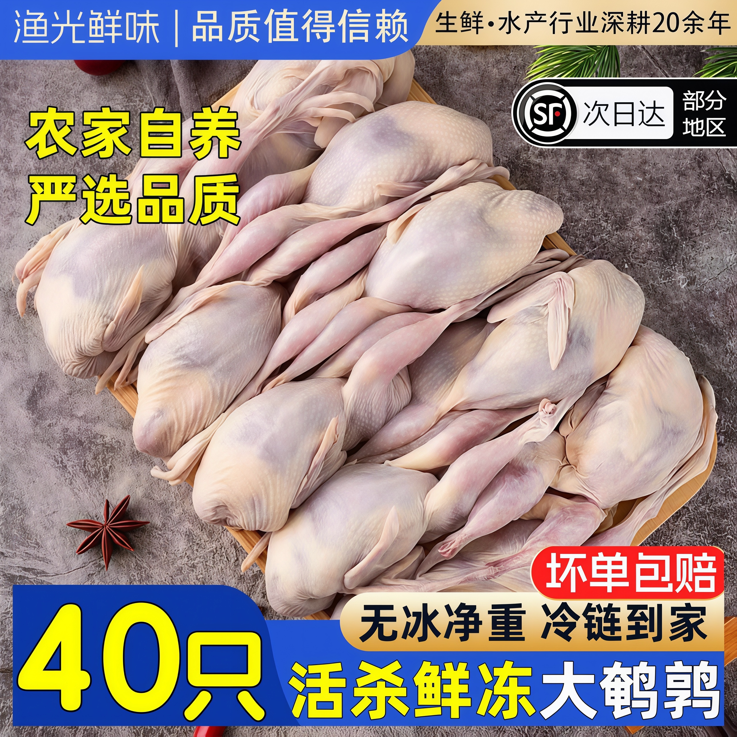 新鲜鹌鹑特大母鹌鹑肉冷冻鲜货活体现杀白条炖汤烧烤生骨肉商用