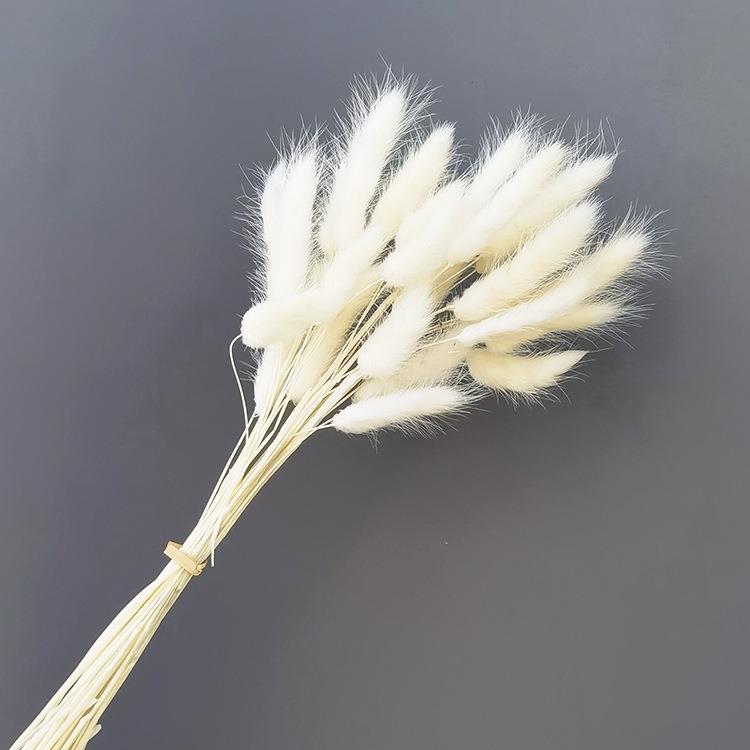 直销新款直销芦苇干花装饰插花真花摆件大蒲苇麦穗花束满天星跨境