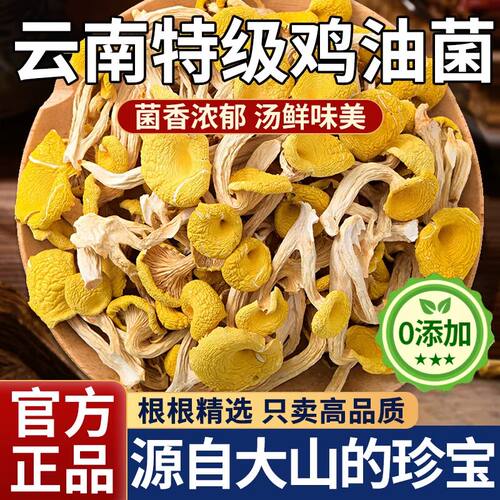 云南特级鸡油菌干货蘑菇香菇黄金菇榆黄菇山珍野生菌子官方旗舰店