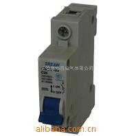 上人民小RMC2L-6JZI海型3C漏电断路器