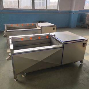 刷清洗机土豆类清洗去皮机根茎果蔬清洗机毛红RL-1500薯大姜辊清