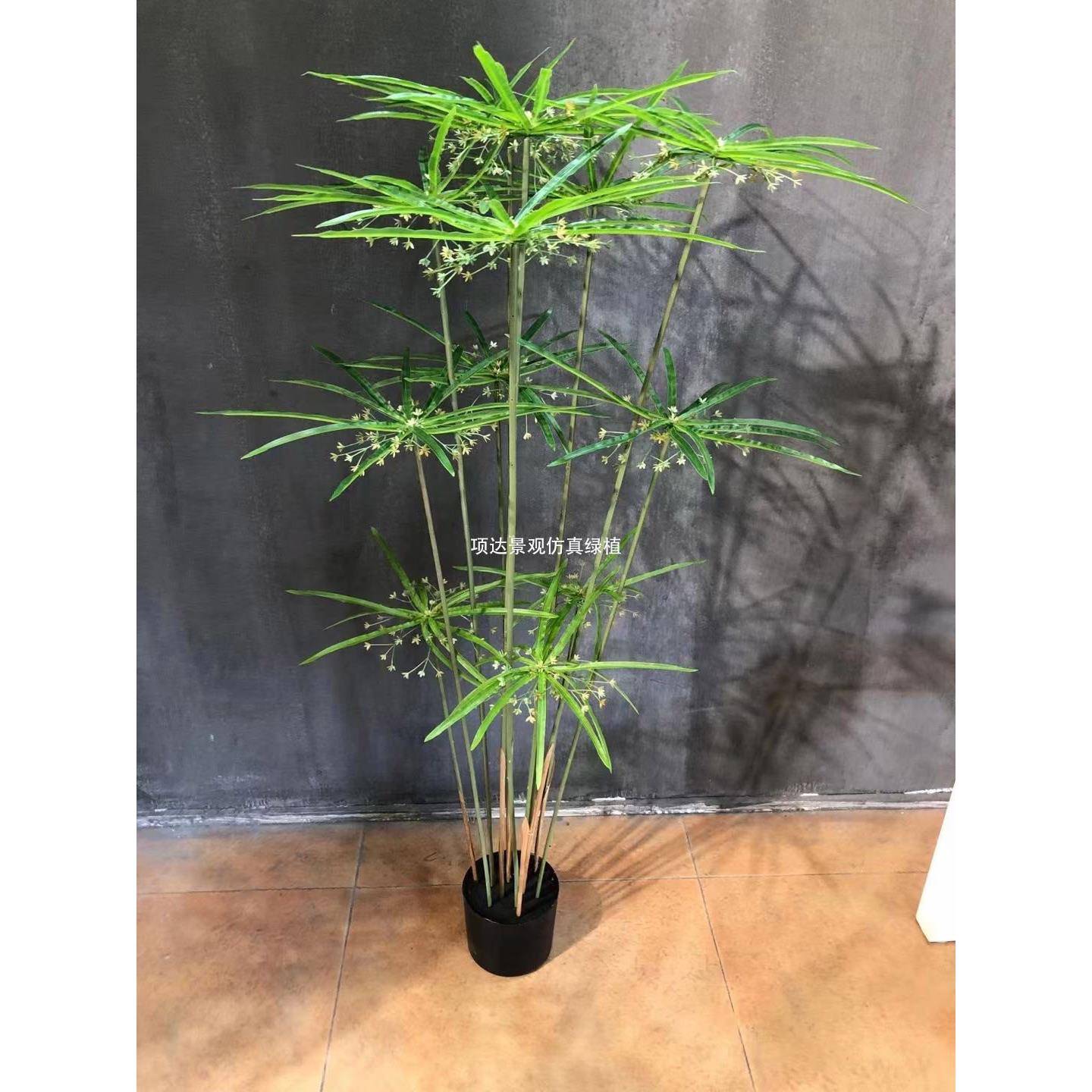 仿真车摆草旱123455伞草水竹草风假绿植商场广场关庭院别墅落地件